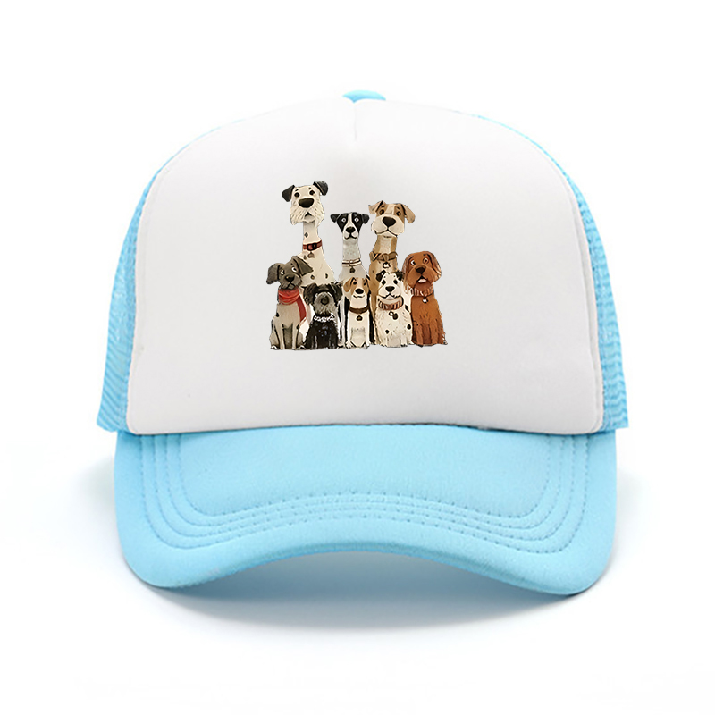 หมวกเบสบอลลายสุนัขแบรนด์สตรีทแ - Cap Streetwear Brand บทวิจารณ์และราคา