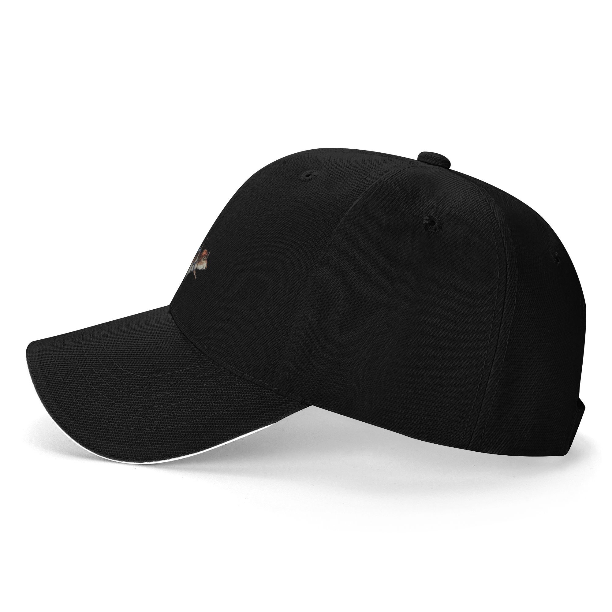 หมวกเบสบอลดีไซน์นักกระโดดร่มกร - Cap Streetwear Brand บทวิจารณ์และราคา